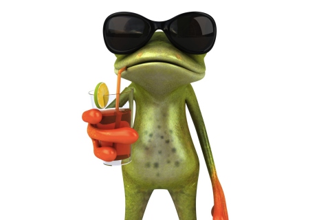 Das 3D Frog Chilling Out Wallpaper 480x320
