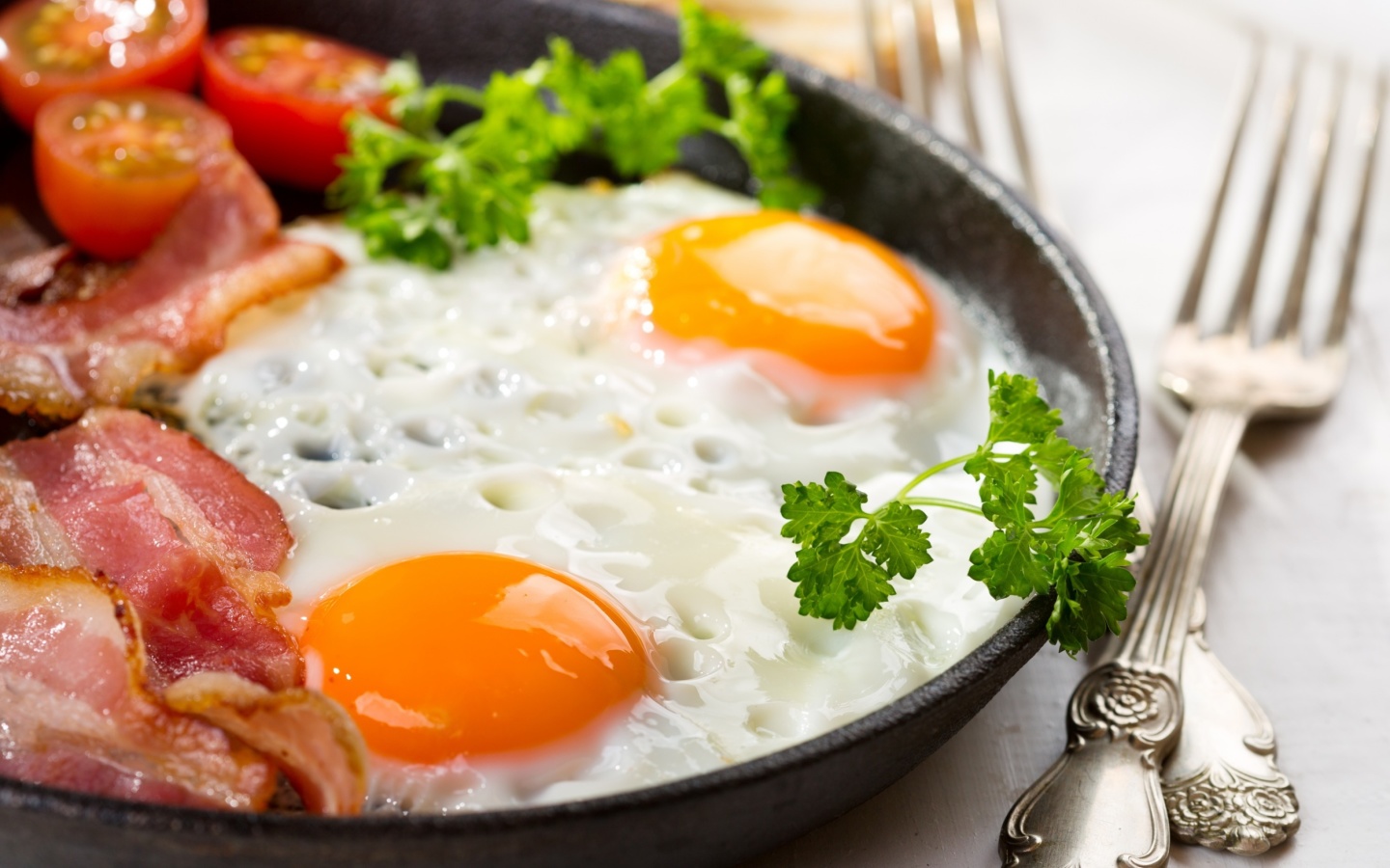 Sfondi Fried egg 1440x900