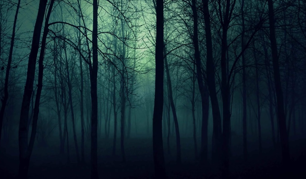 Fondo de pantalla Dark Woods 1024x600