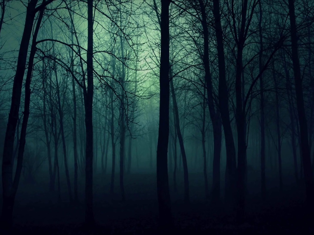 Dark Woods wallpaper 1024x768