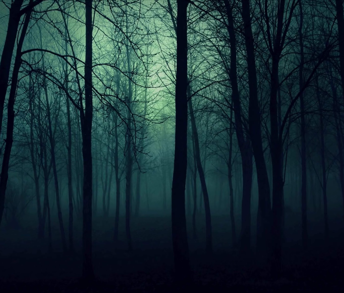 Das Dark Woods Wallpaper 1200x1024