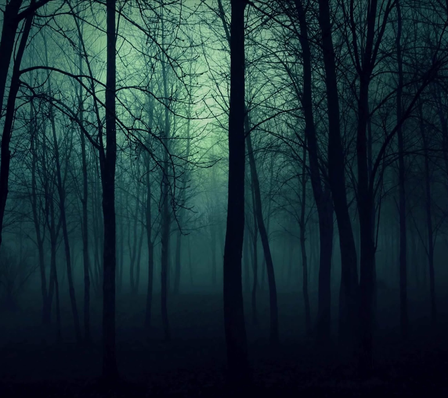 Das Dark Woods Wallpaper 1440x1280