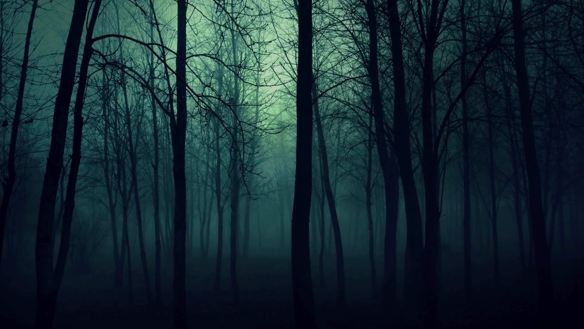 Dark Woods screenshot #1 1920x1080