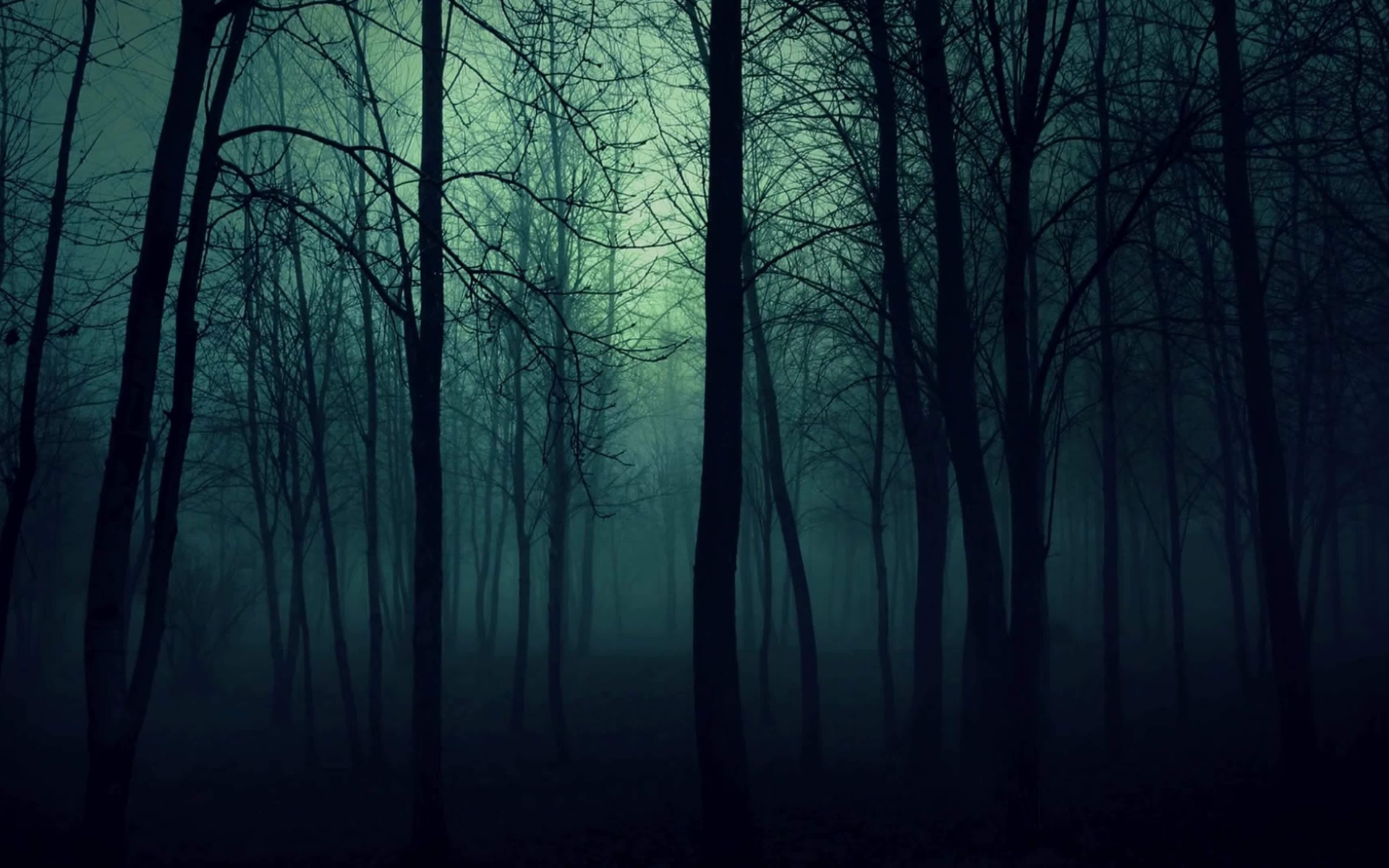 Dark Woods wallpaper 1920x1200