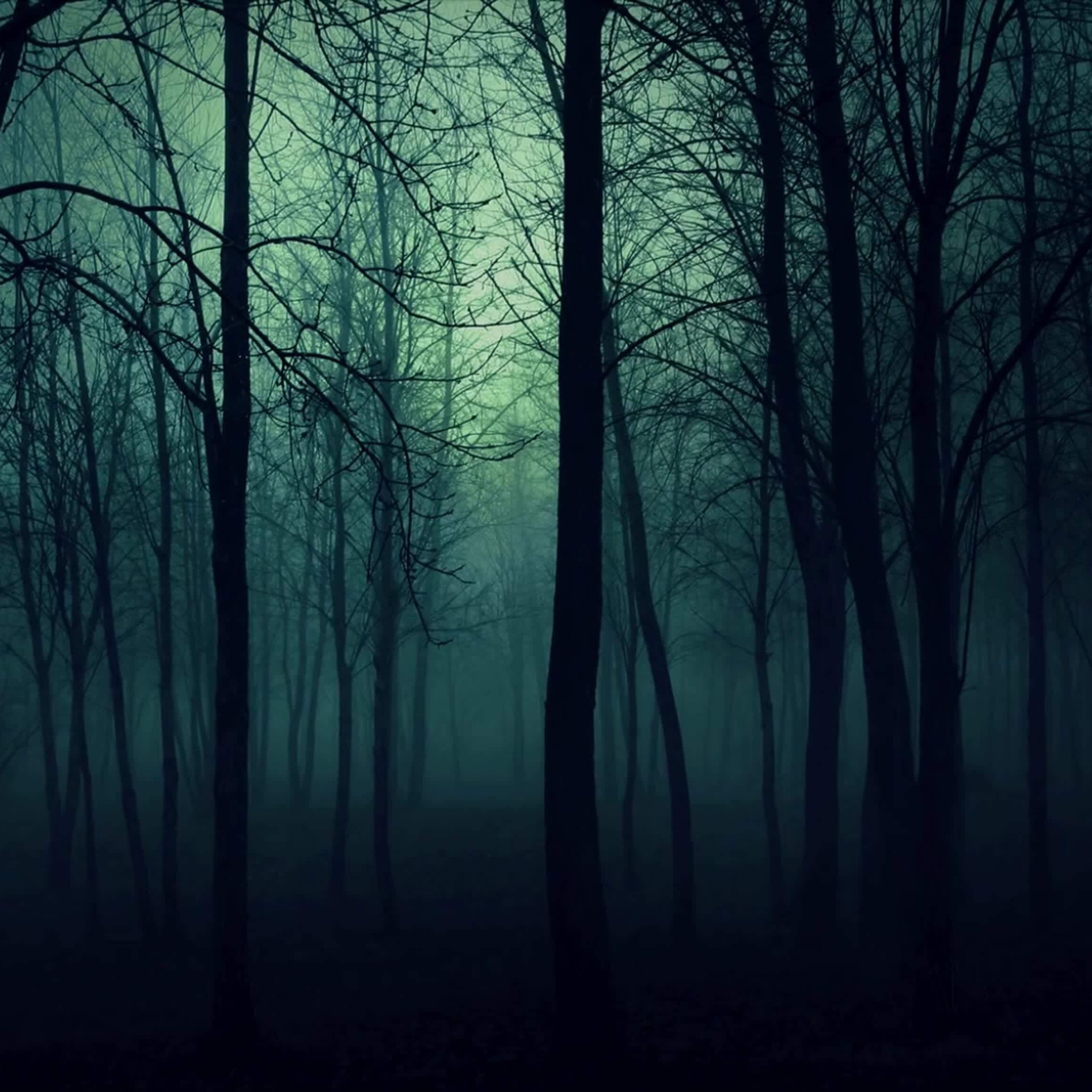 Fondo de pantalla Dark Woods 2048x2048