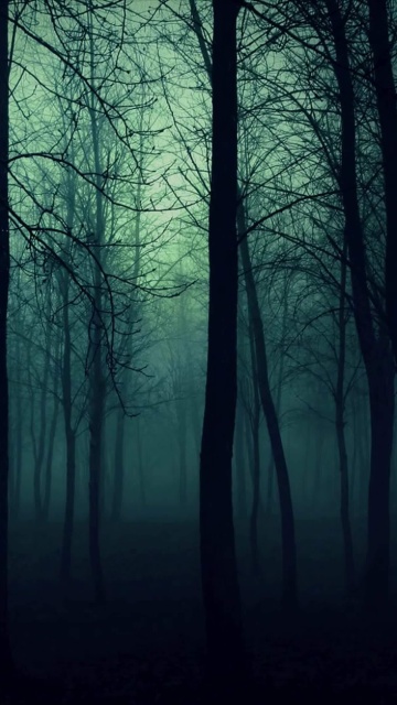 Das Dark Woods Wallpaper 360x640