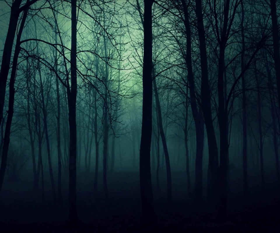 Fondo de pantalla Dark Woods 960x800