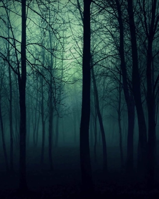 Dark Woods - Fondos de pantalla gratis para 360x640