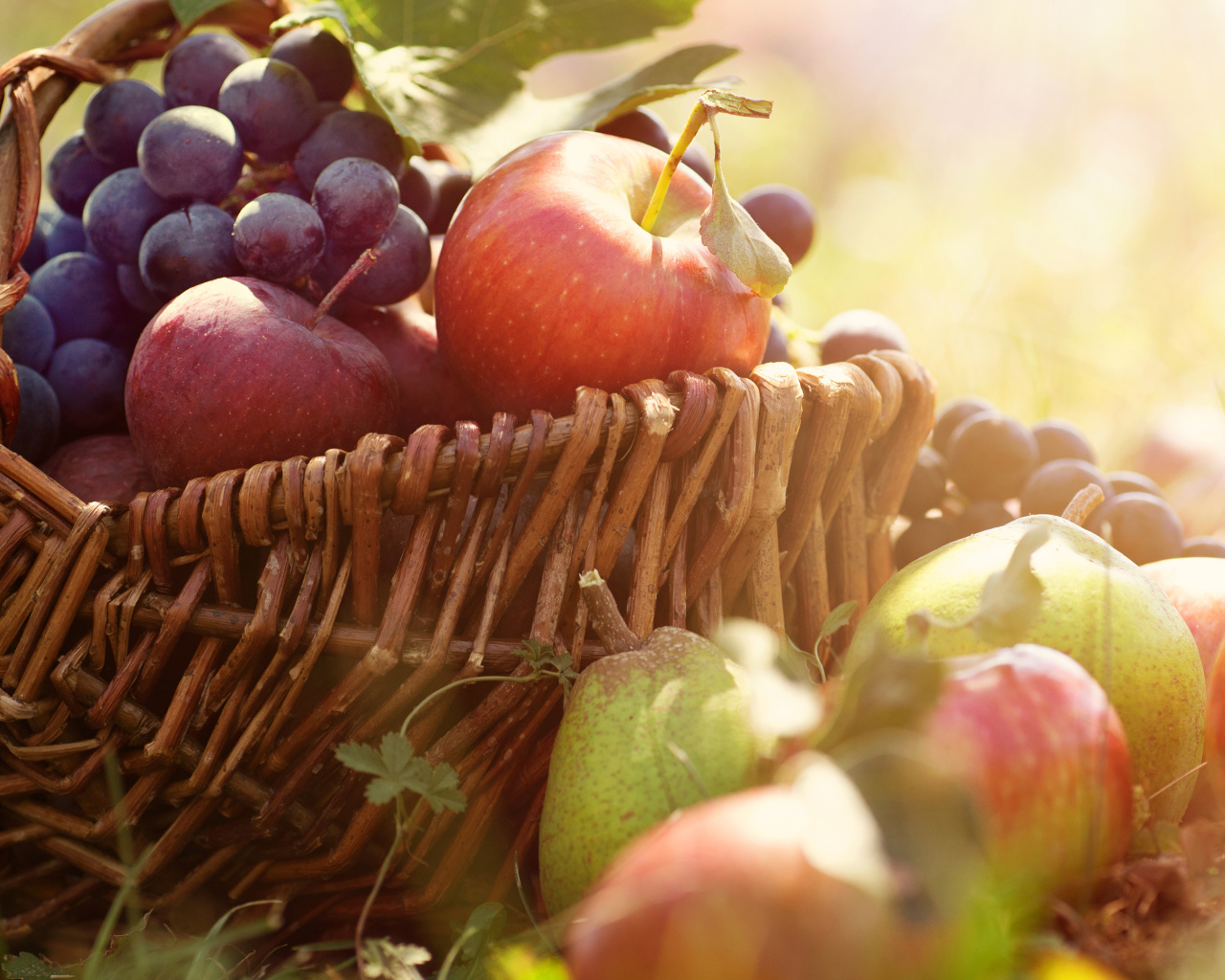 Apples and Grapes wallpaper 1280x1024