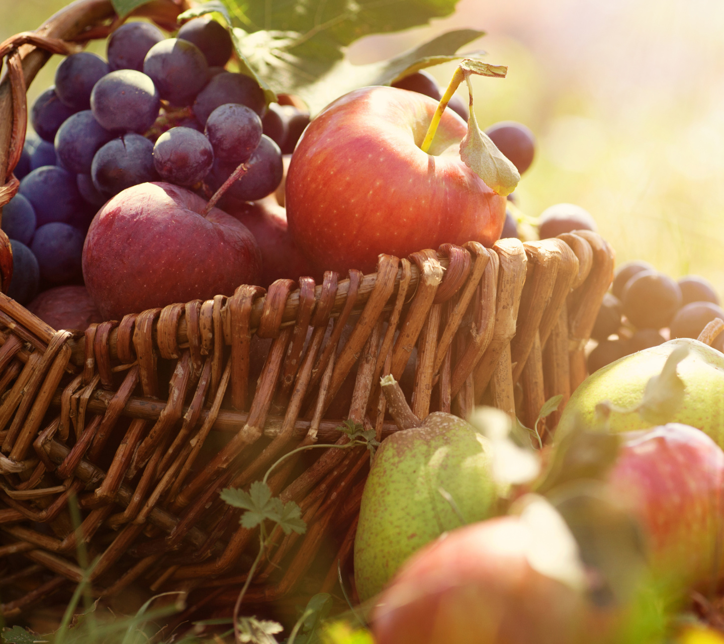 Das Apples and Grapes Wallpaper 1440x1280