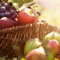 Sfondi Apples and Grapes 208x208