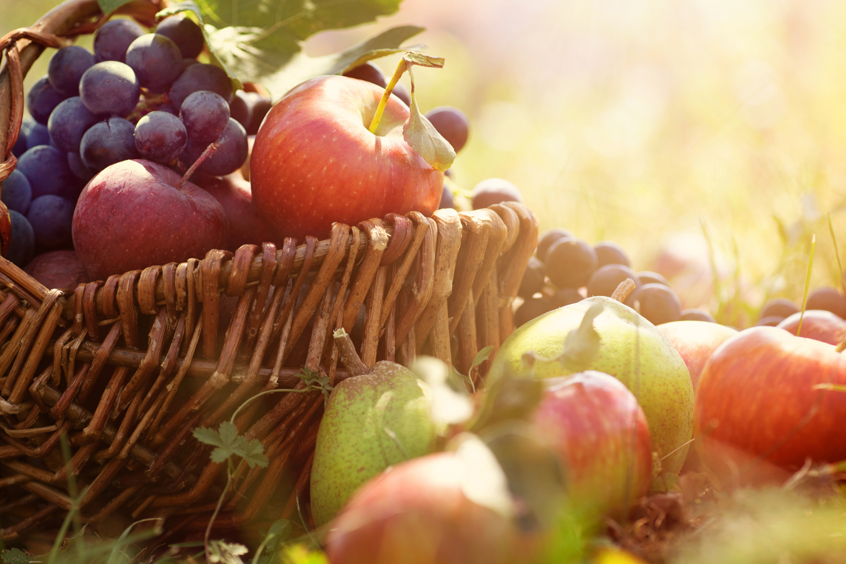 Das Apples and Grapes Wallpaper 2880x1920