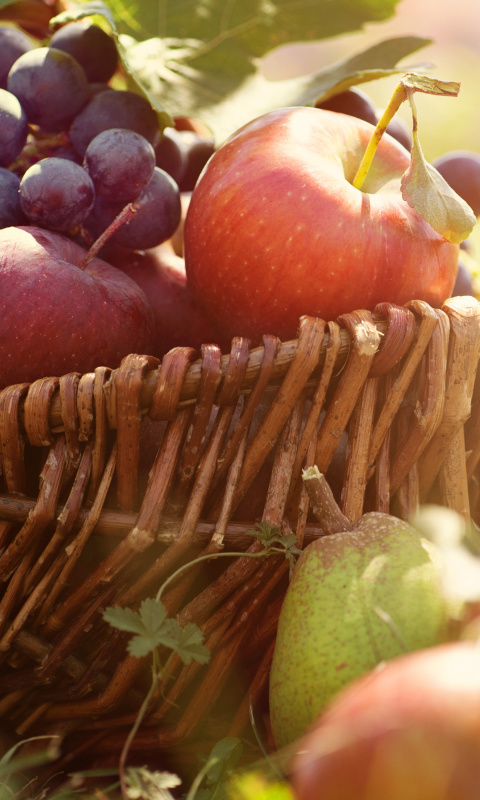 Fondo de pantalla Apples and Grapes 480x800