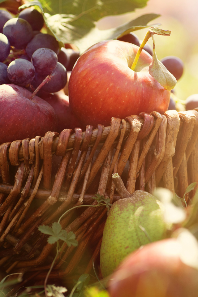 Fondo de pantalla Apples and Grapes 640x960