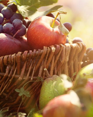 Apples and Grapes sfondi gratuiti per 640x1136
