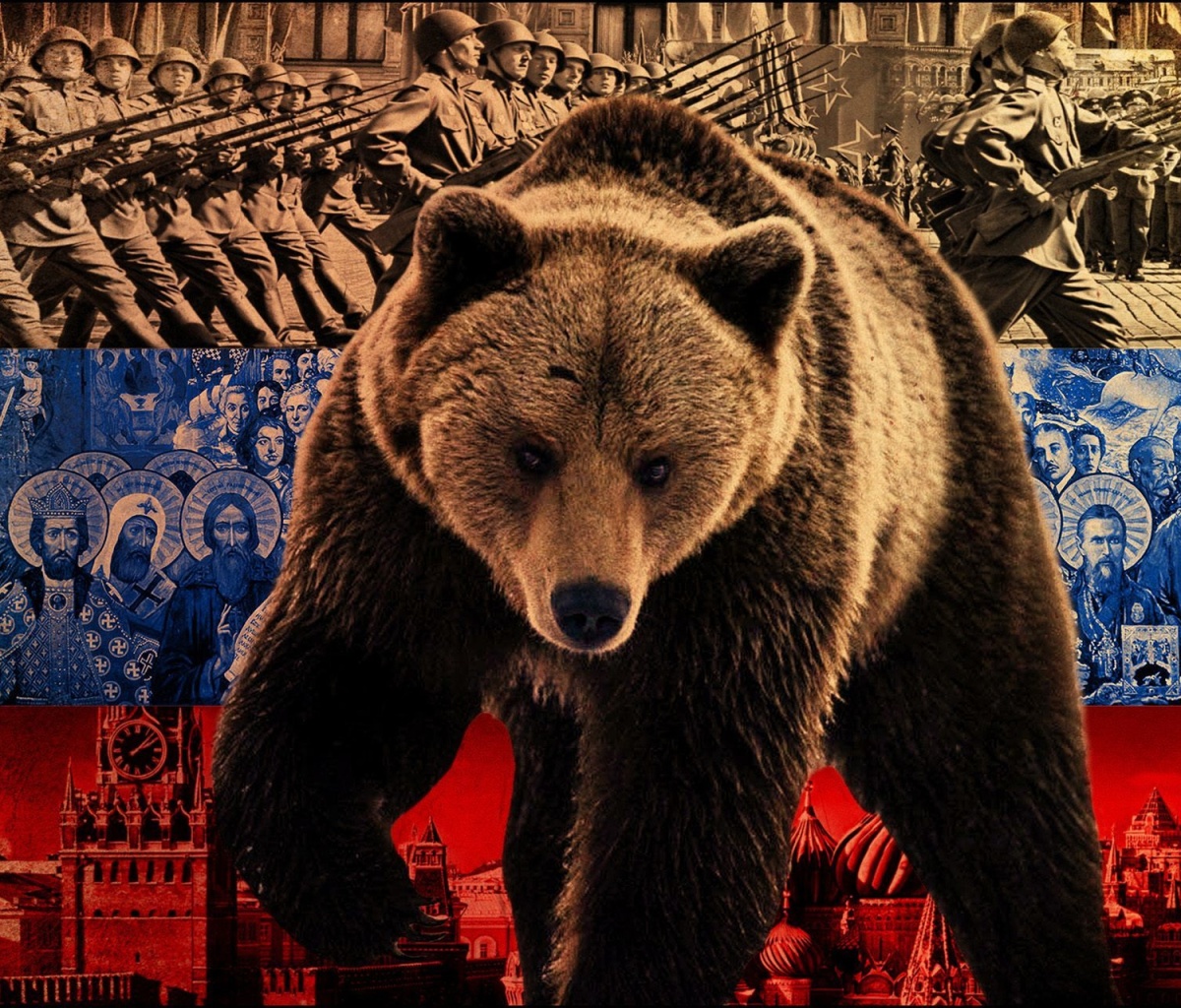 Обои Russian Bear on Flag Background 1200x1024