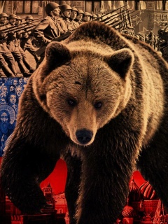 Обои Russian Bear on Flag Background 240x320