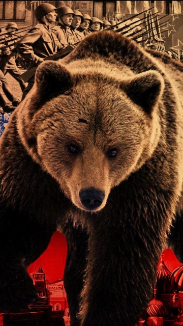 Das Russian Bear on Flag Background Wallpaper 360x640