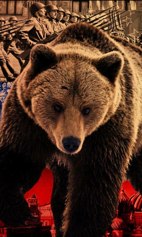 Обои Russian Bear on Flag Background 480x800