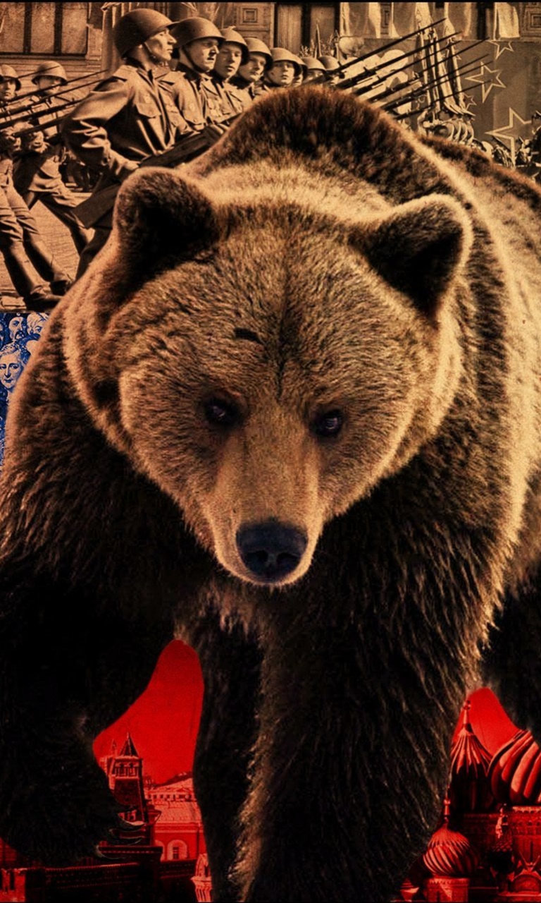 Обои Russian Bear on Flag Background 768x1280