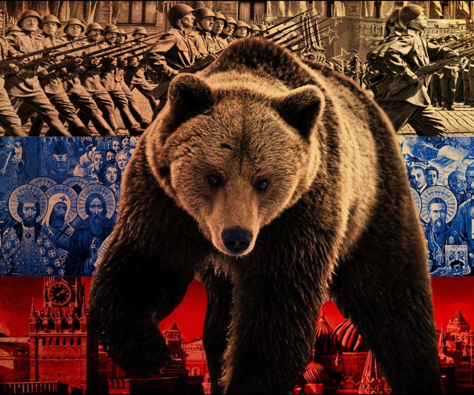Обои Russian Bear on Flag Background 960x800