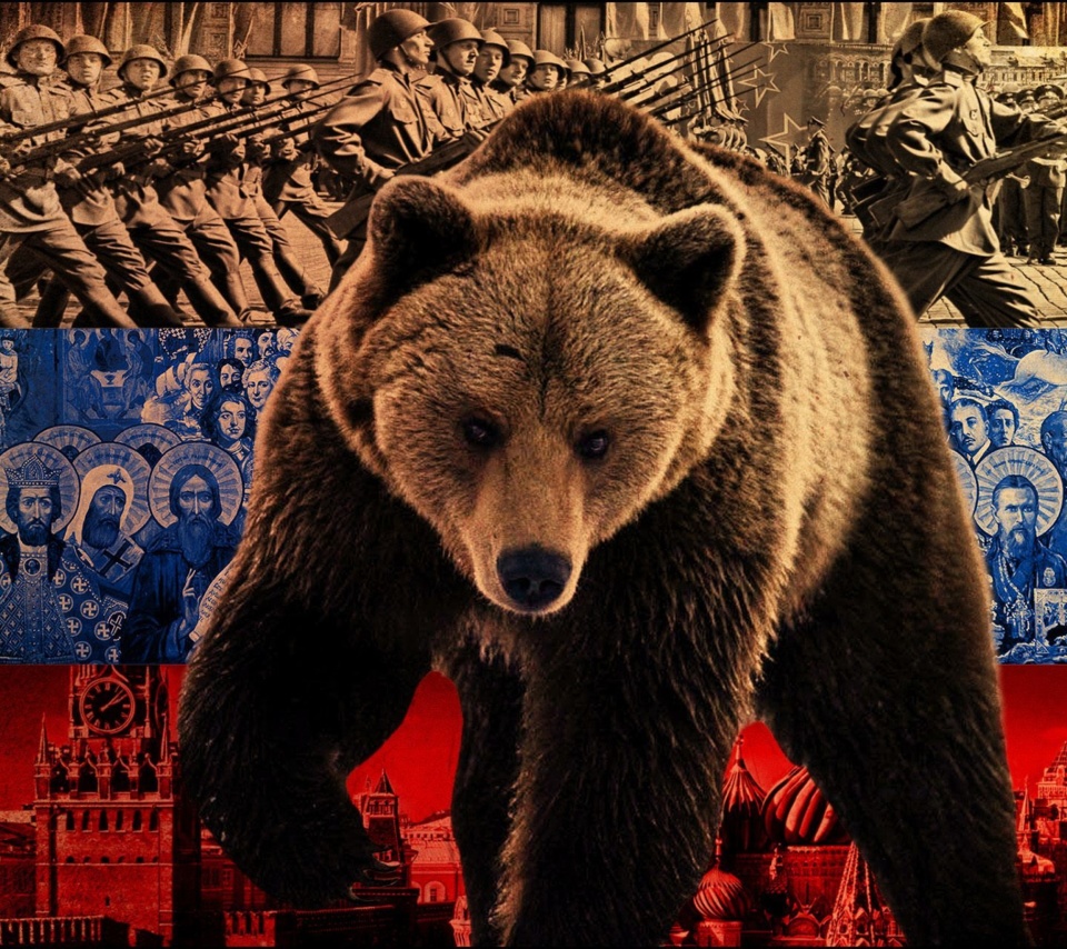 Обои Russian Bear on Flag Background 960x854