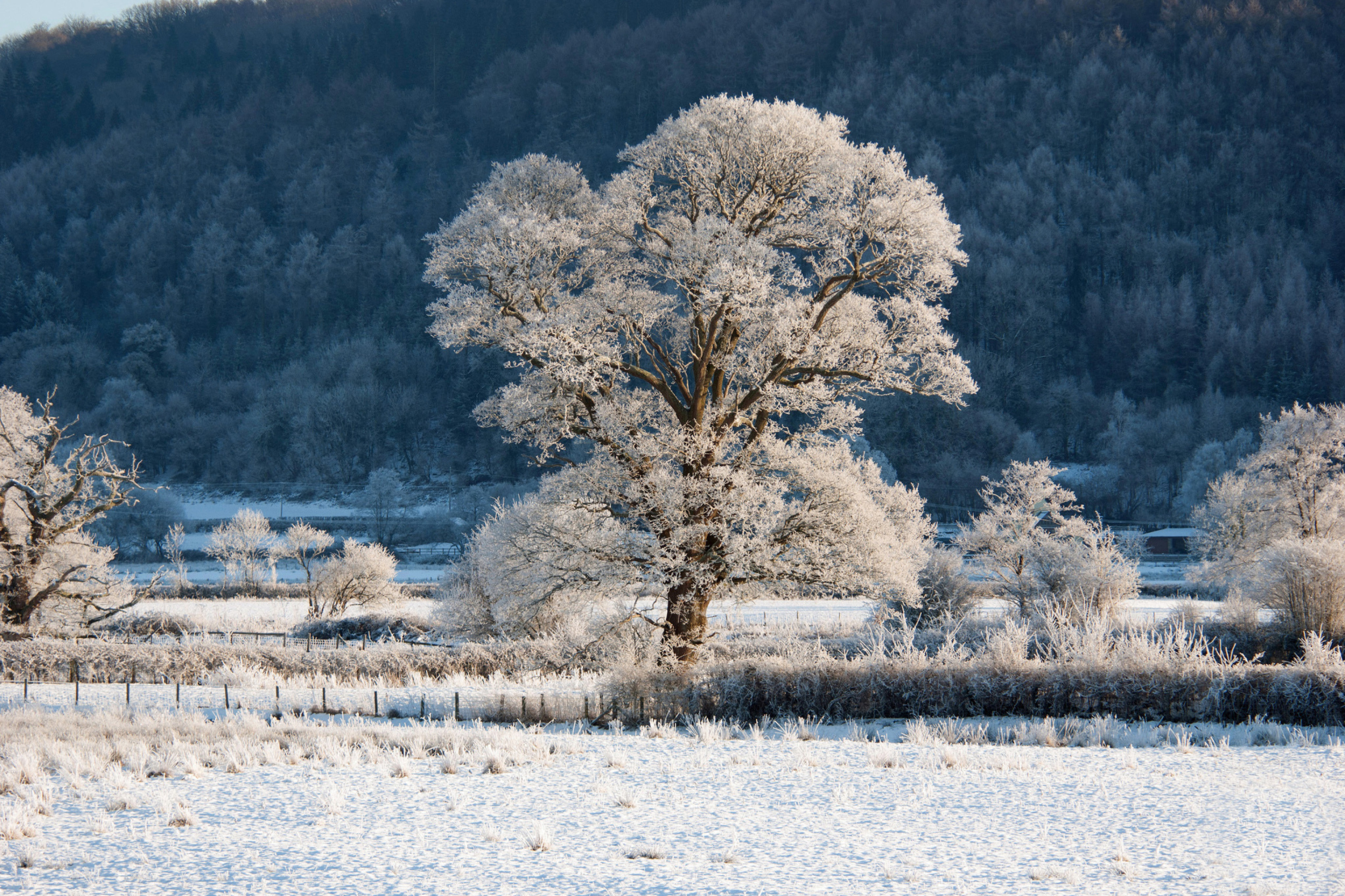 Hill in Snow wallpaper 2880x1920