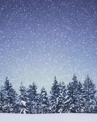 Kostenloses Winter Forest Wallpaper für Nokia X2-02