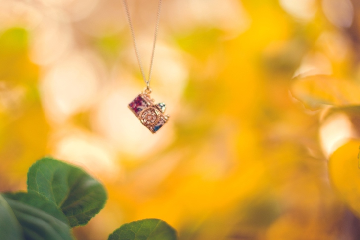 Sfondi Photographer's Pendant