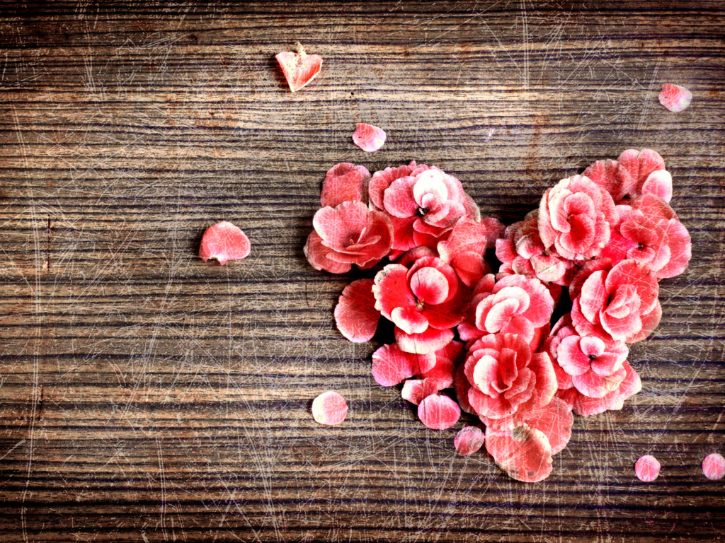 Fondo de pantalla Heart Shaped Flowers 1024x768