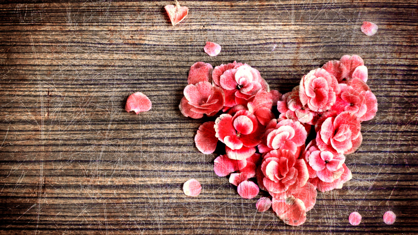 Das Heart Shaped Flowers Wallpaper 1600x900