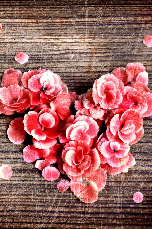Heart Shaped Flowers wallpaper 640x960