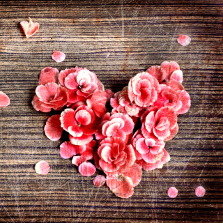 Heart Shaped Flowers - Obrázkek zdarma pro iPad mini