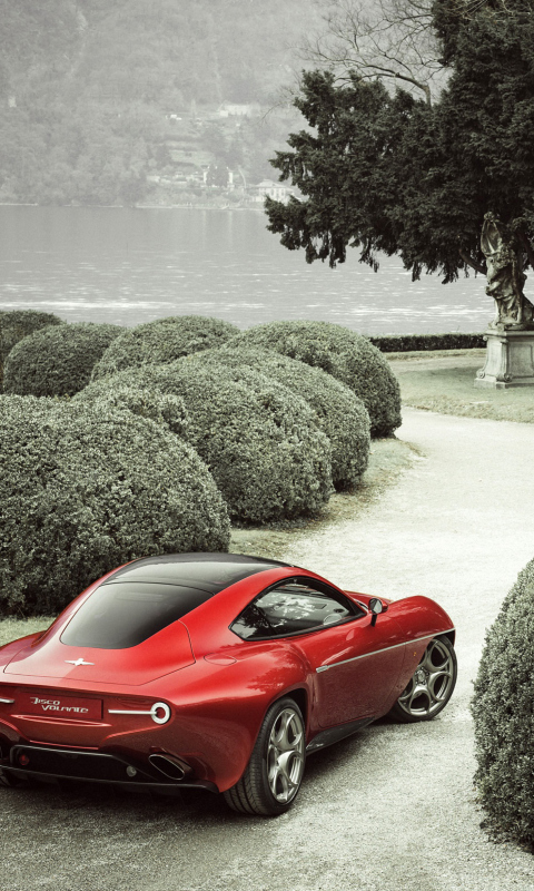 2013 Alfa Romeo Disco Volante screenshot #1 480x800