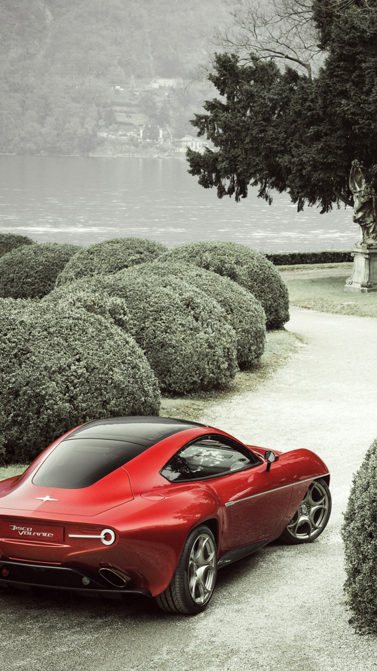 Das 2013 Alfa Romeo Disco Volante Wallpaper 750x1334