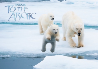 Free To the Arctic 3D Picture for Android, iPhone and iPad