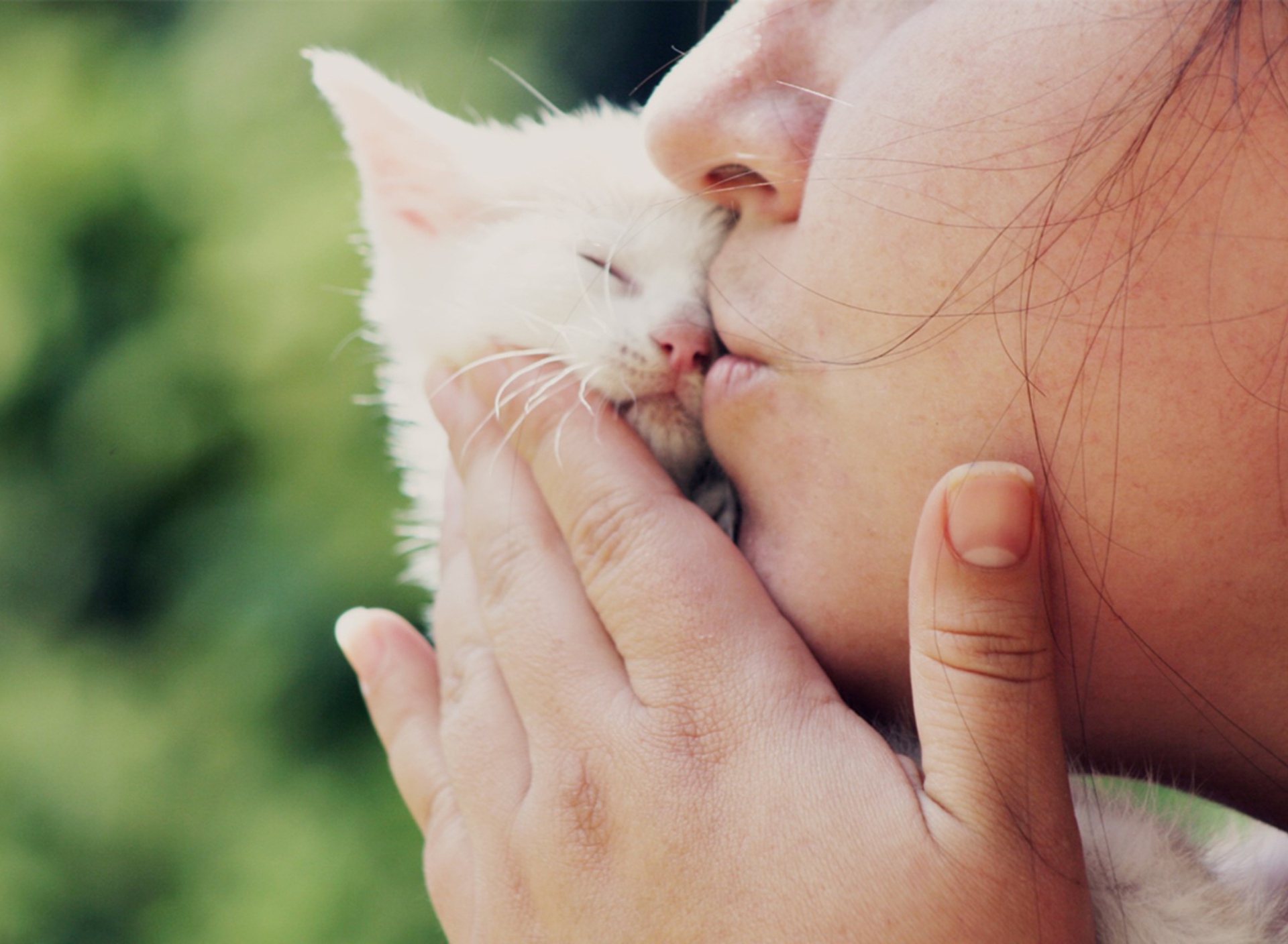 Screenshot №1 pro téma Girl Kissing Kitten 1920x1408