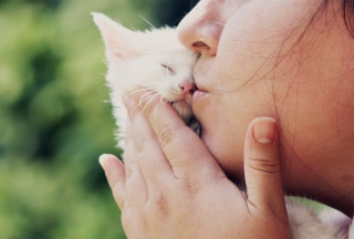 Girl Kissing Kitten - Obrázkek zdarma 
