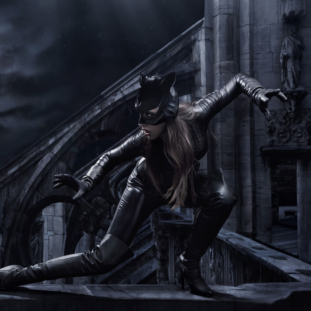 Das Catwoman DC Comics Wallpaper 1024x1024