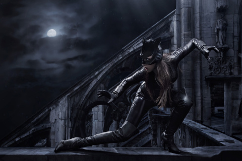 Catwoman DC Comics wallpaper 480x320