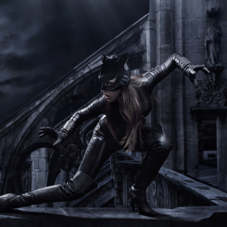 Catwoman DC Comics - Obrázkek zdarma pro iPad mini