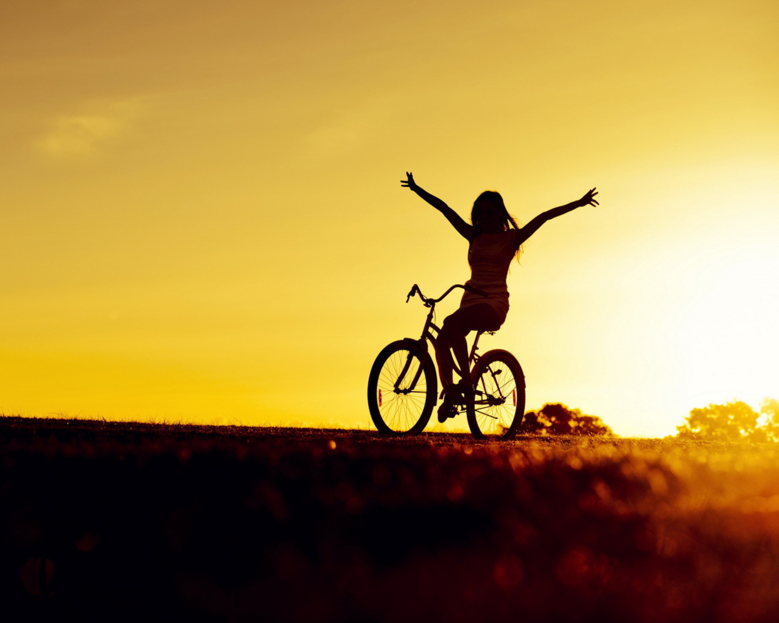 Bicycle Ride At Golden Sunset screenshot #1 1600x1280