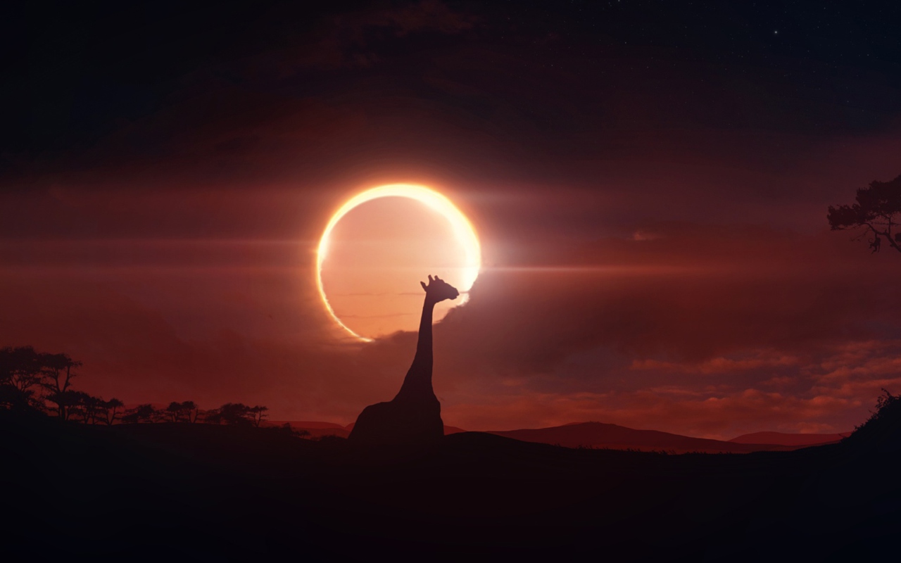 Fondo de pantalla Eclipse 1280x800