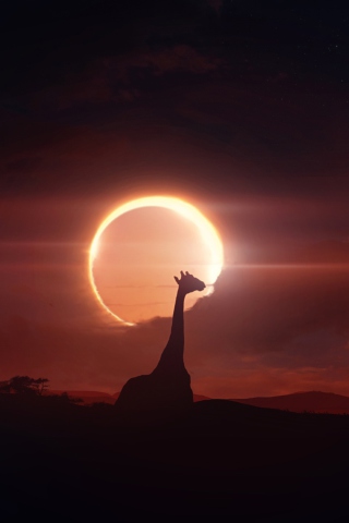 Das Eclipse Wallpaper 320x480