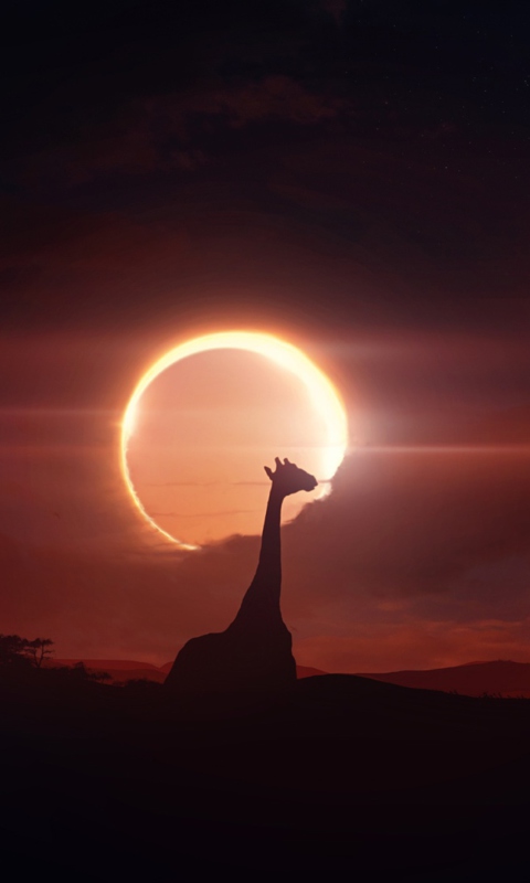 Eclipse wallpaper 480x800