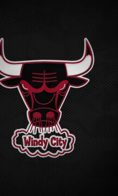 Chicago Bulls HD screenshot #1 240x400