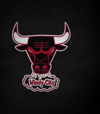 Chicago Bulls HD - Obrázkek zdarma pro 240x320