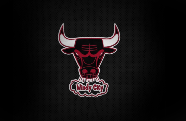Chicago Bulls HD screenshot #1