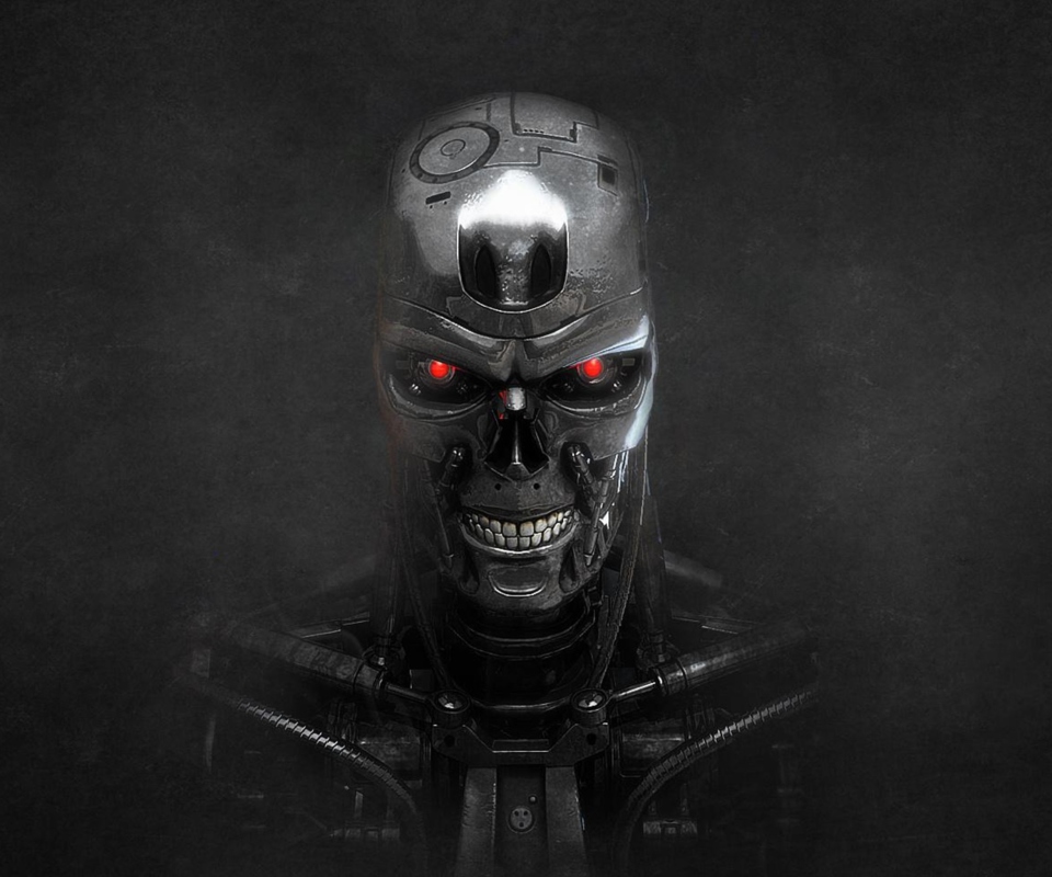 Das Terminator Skeleton Wallpaper 960x800