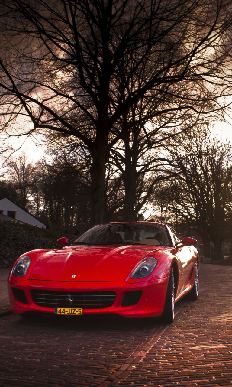 Ferrari 599 screenshot #1 768x1280